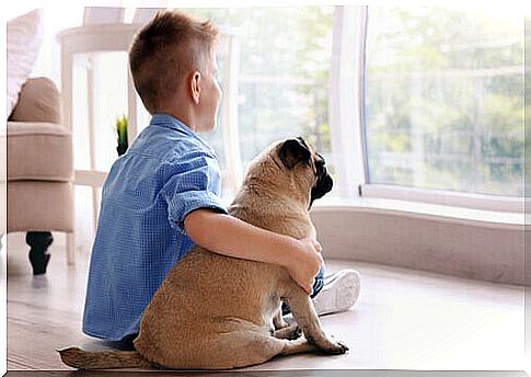 The best small dog breeds for families with children