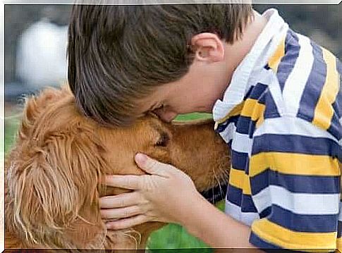 The benefits of a pet for a child