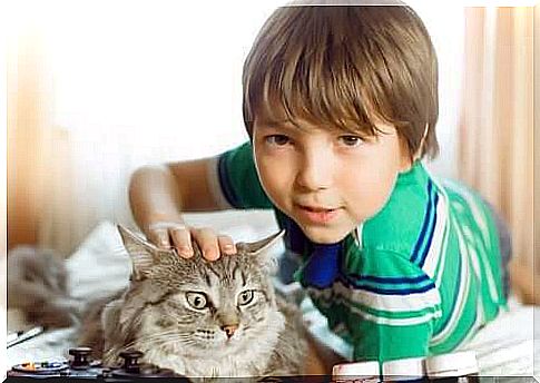 The benefits of a pet for a child