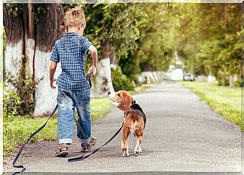 The benefits of a pet for a child