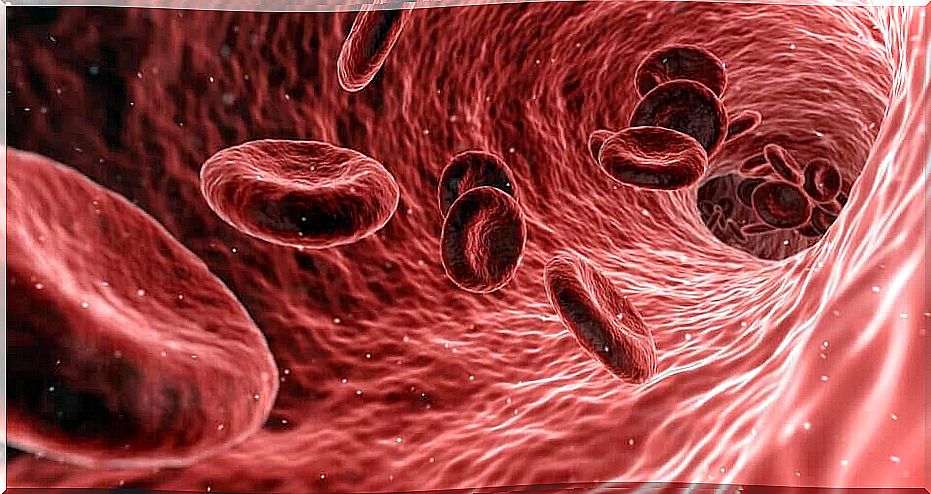 Phospholipid antibody syndrome