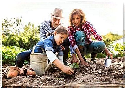 Grandparents spend time with their grandchild