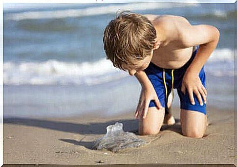 What to do if a jellyfish stings a child?